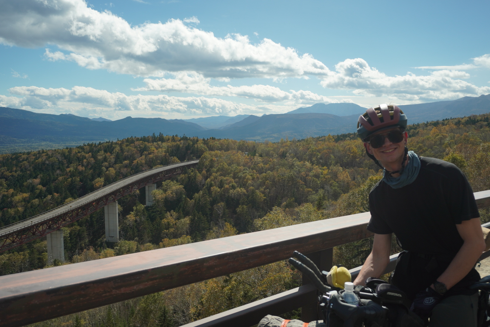 Bridges over the forest