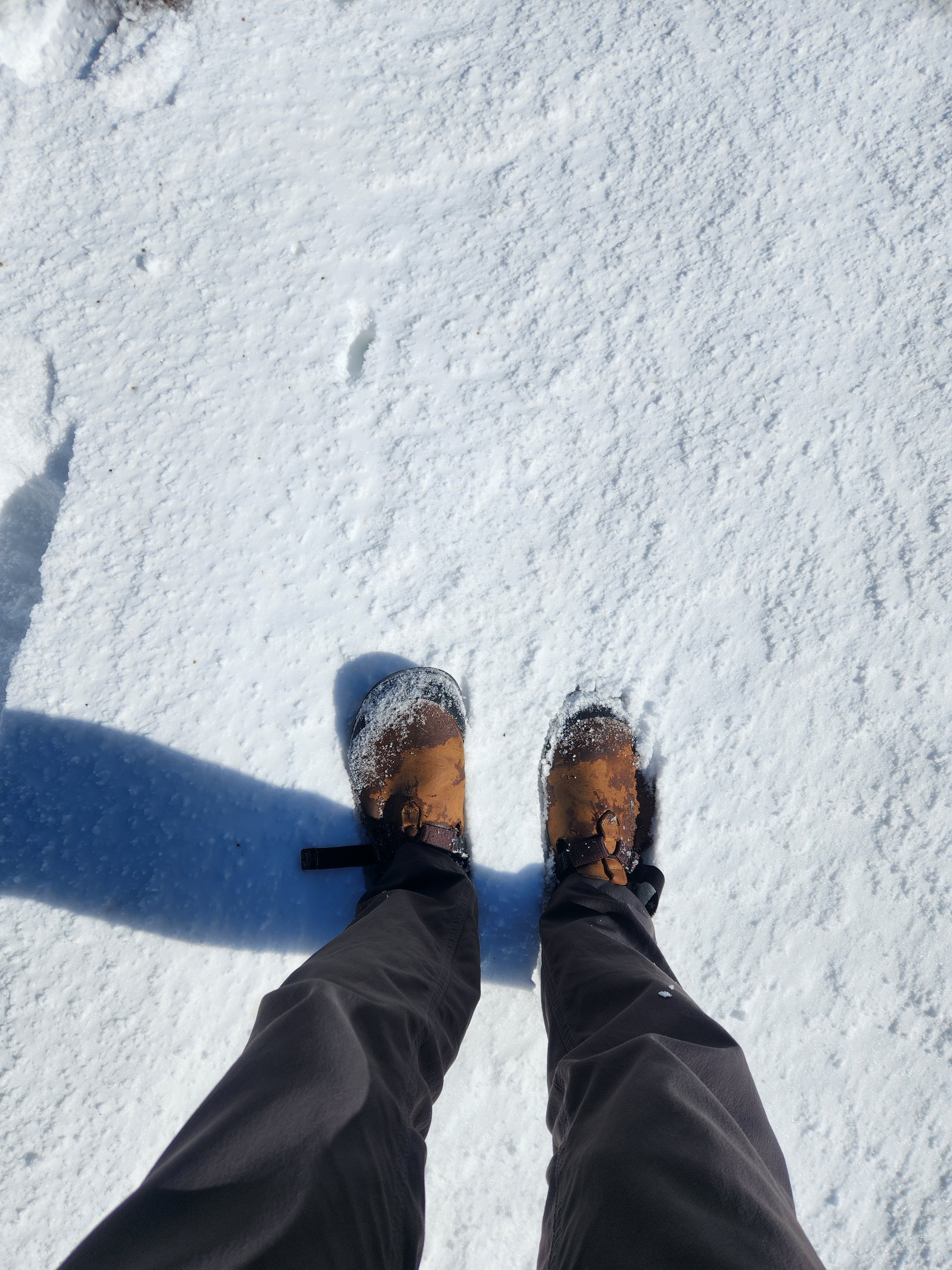 Rockin’ them clogs